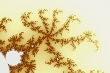 mandelbrot fractal image named Korall