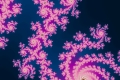 Mandelbrot fractal image leftoutt