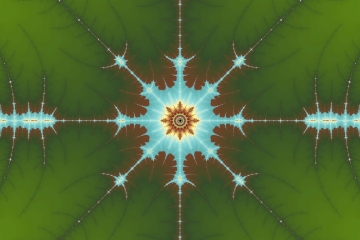 mandelbrot fractal image named life star