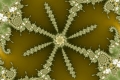 Mandelbrot fractal image lily pad