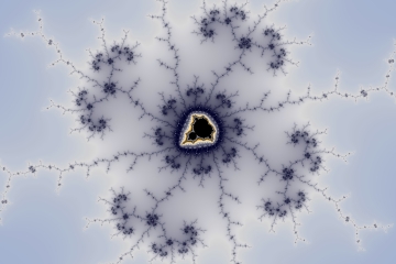 mandelbrot fractal image named Lottus flower 1