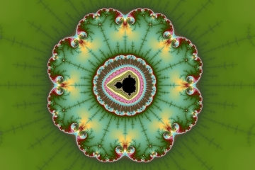 mandelbrot fractal image named Mandelbrot Flower