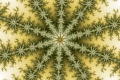 Mandelbrot fractal image Medicinal herb