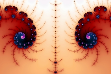 mandelbrot fractal image named Mirror image
