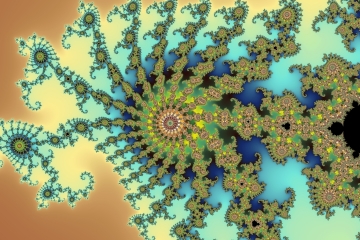 mandelbrot fractal image named Octopus