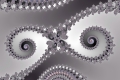 mandelbrot fractal image owl eyes