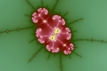 Mandelbrot fractal image petal