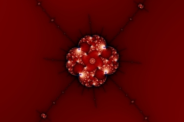 mandelbrot fractal image named petallic I