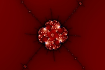 mandelbrot fractal image named petallic I