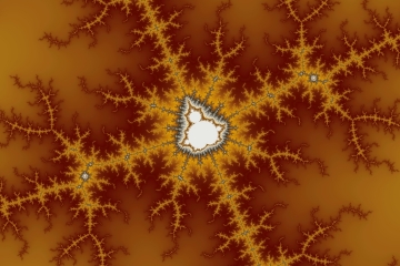 mandelbrot fractal image named petrified wood