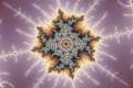 Mandelbrot fractal image pheasant