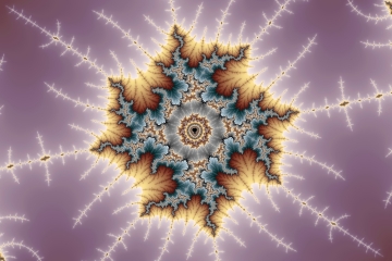 mandelbrot fractal image named pheasant