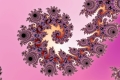 Mandelbrot fractal image Pink gradient