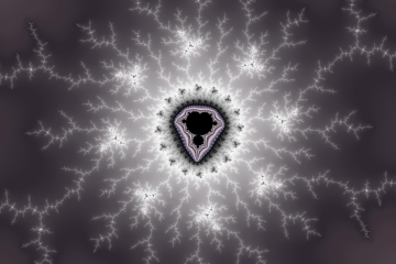 mandelbrot fractal image named pink jelly