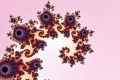 Mandelbrot fractal image Pink Paisley