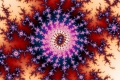 Mandelbrot fractal image Pink spiral
