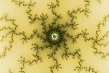 mandelbrot fractal image named plant cellar