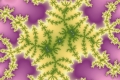 Mandelbrot fractal image plant table