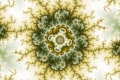 Mandelbrot fractal image plough