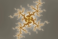 Mandelbrot fractal image power bloom I