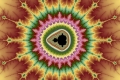 Mandelbrot fractal image rainbow flower