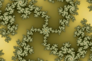mandelbrot fractal image named regeneration