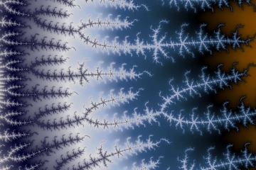mandelbrot fractal image named root network