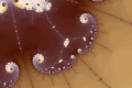 Mandelbrot fractal image Sea animal