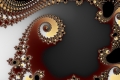 Mandelbrot fractal image Sea Shells