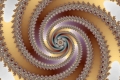 Mandelbrot fractal image seashell
