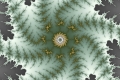 Mandelbrot fractal image sepoy mutiny II