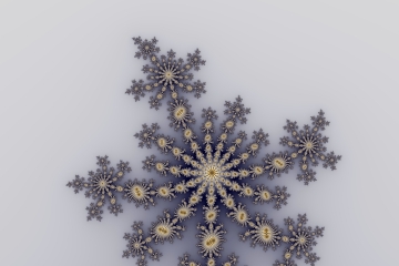 mandelbrot fractal image named Snowflake 22