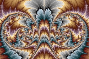 mandelbrot fractal image named spinous 