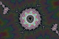 Mandelbrot fractal image splash of color
