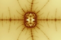Mandelbrot fractal image subshell