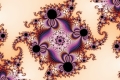mandelbrot fractal image SugarPlums
