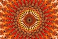 mandelbrot fractal image survival