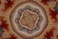Mandelbrot fractal image terrawasp