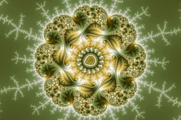 mandelbrot fractal image named The Broccolator