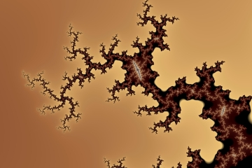 mandelbrot fractal image named The Old Tree