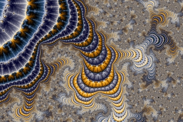 mandelbrot fractal image named the root