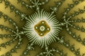 Mandelbrot fractal image toad