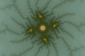 Mandelbrot fractal image tonic