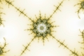 Mandelbrot fractal image torus