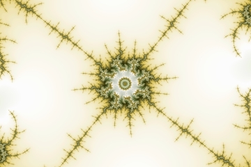 mandelbrot fractal image named torus