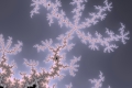Mandelbrot fractal image track16