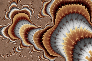 mandelbrot fractal image named tree roots