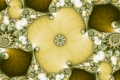 mandelbrot fractal image Underflower