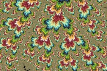 mandelbrot fractal image named Vegetal