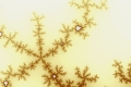 Mandelbrot fractal image Warn Out